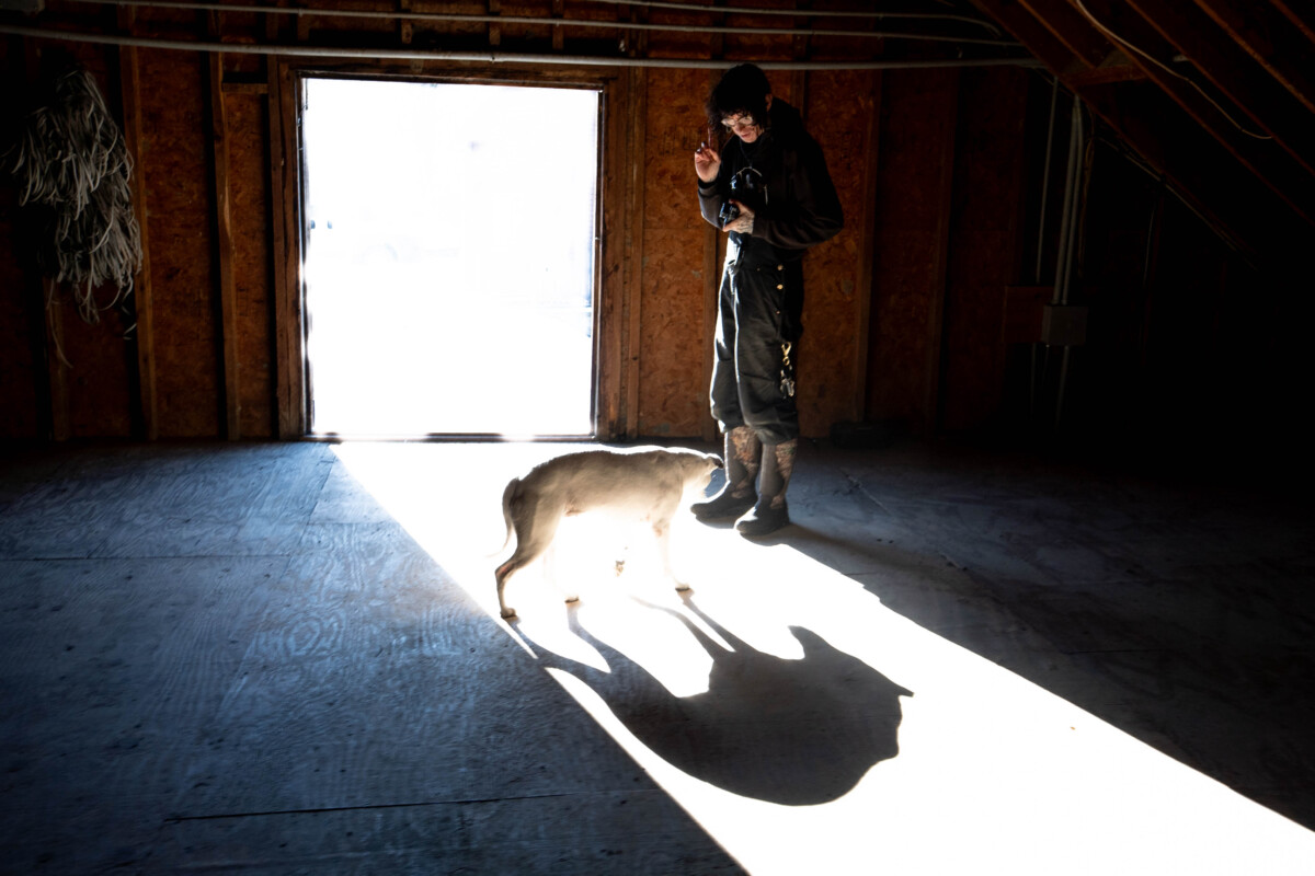 Writing + Video: Forest Fire